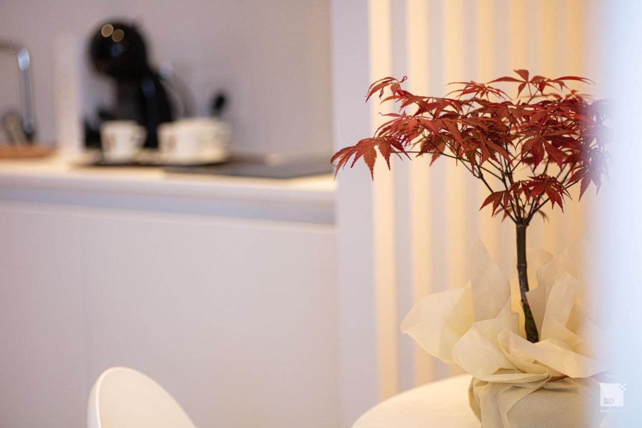 The Lady C - High Apartments Tropea Luaran gambar